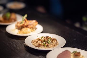 Restaurace Talíř | Prague | Photogallery | Buckwheat risotto, seasonal mushrooms and herbs, roasted garlic foam